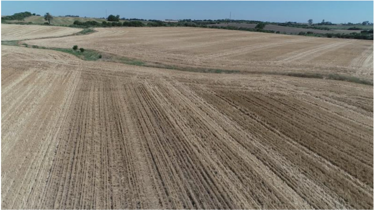 Prime Cropping Farmland 60 Hectares San Jose Uruguay
